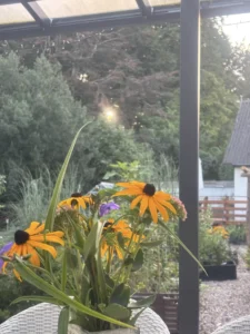 Blomster i vase